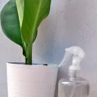 オールワンとは